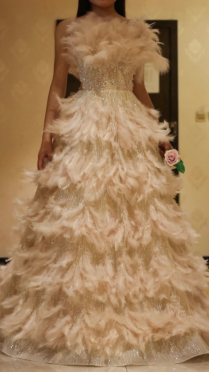 Luxury Feathers Princess Cream Evening Dress